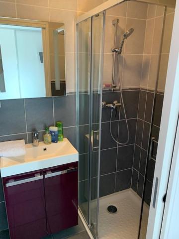 Petit Studio Dans Villa Bord De Lac Aix-les-Bains Bagian luar foto